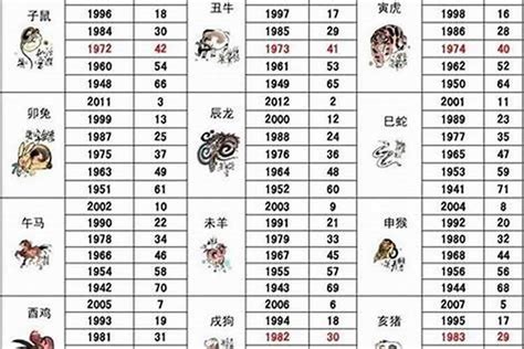 2003 年生肖|2003年属什么生肖属相 2003年出生的人属什么